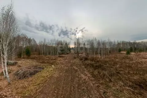 Участок в Тюменская область, Нижнетавдинский муниципальный округ, ...