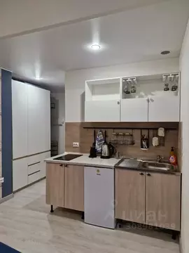 Студия Пермский край, Пермь ул. Куйбышева, 109А (25.0 м)