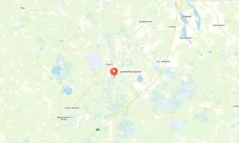 Участок в Псковская область, Плюсский муниципальный округ, д. Бутырьки ...