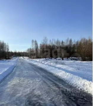 Участок в Вологодская область, Череповецкий район, Югское ...