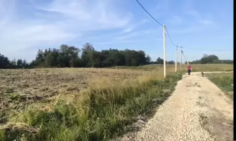 Участок в Ленинградская область, Ломоносовский район, Ропшинское ...