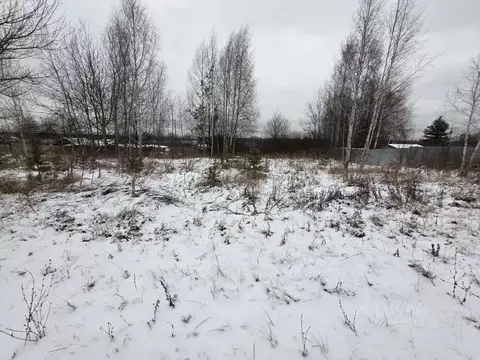 Участок в Московская область, Орехово-Зуевский городской округ, д. ...
