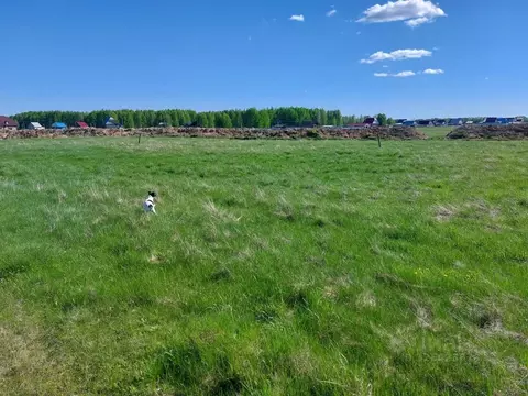 Участок в Челябинская область, Аргаяшский муниципальный округ, д. ...