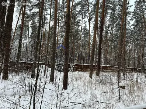 Участок в Лаишевский район, деревня Матюшино (20 м)