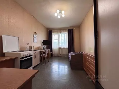 Студия Санкт-Петербург пос. Шушары, пер. Вилеровский, 6 (23.6 м)