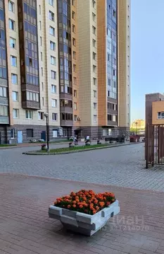 1-к кв. Санкт-Петербург Северо-Приморская часть исторический район,  ...