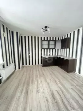 Студия Новосибирская область, Новосибирск Спортивная ул., 13 (40.0 м)