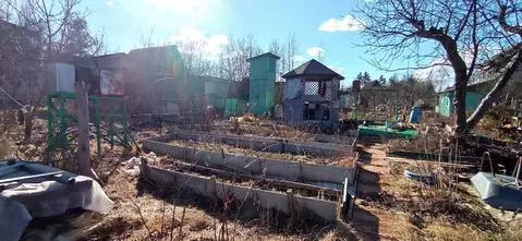 Участок в Ленинградская область, Лужский район, Мшинское с/пос, ...