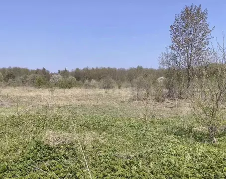Участок в Брянская область, Брянский район, с. Журиничи  (20.0 сот.)