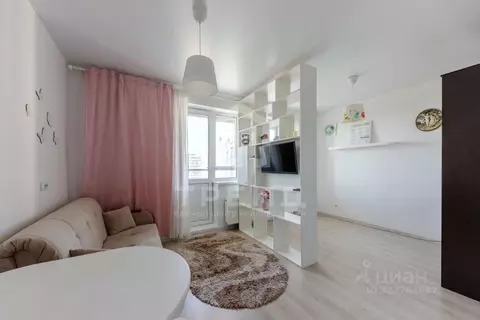 Студия Санкт-Петербург Парашютная ул., 42к2 (26.3 м)