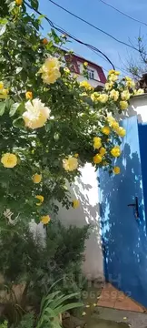 Дом в Крым, Евпатория ул. Революции, 26 (32 м)