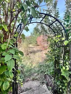 Дом в Самарская область, Кинельский район, Домашка с/пос, с. Домашка ...