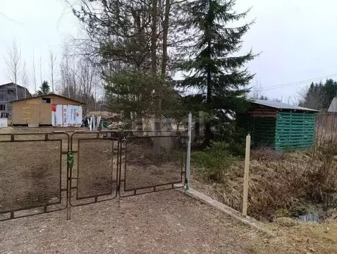 Участок в Ленинградская область, Лужский район, Мшинское с/пос, ...