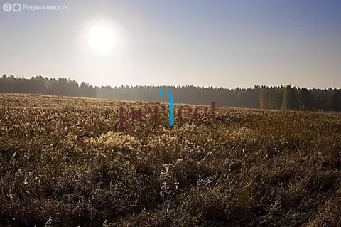 Участок в Московская область, городской округ Солнечногорск, деревня ...