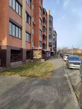 Помещение свободного назначения в Хакасия, Черногорск просп. ...