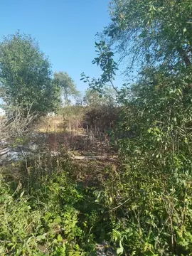 Участок в Московская область, Клин городской округ, д. Решоткино  (7.8 ...