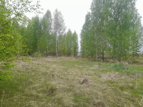 Участок в Курганская область, Кетовский муниципальный округ, Родные ...