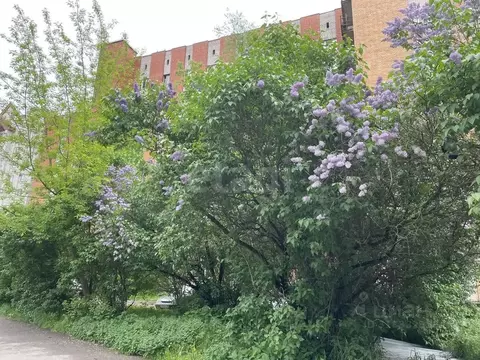 2-к кв. Псковская область, Псков Красноармейская ул., 26 (52.0 м)