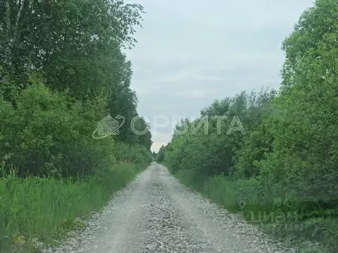 Участок в Тюменская область, Нижнетавдинский муниципальный округ, ...