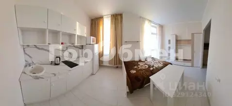 Студия Московская область, Долгопрудный Новый бул., 5к1 (24.0 м)