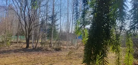 Дом в Ленинградская область, Гатчинский муниципальный округ, Чаща ...