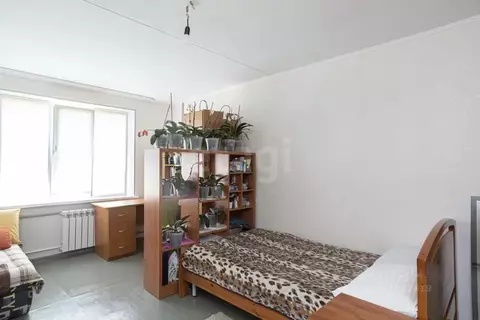 1-к кв. Севастополь просп. Октябрьской Революции, 40/1 (38.3 м)