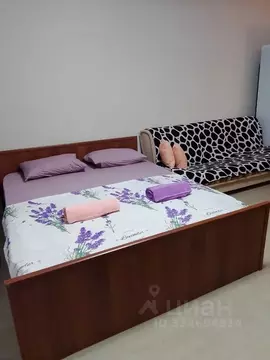 Студия Башкортостан, Уфа ул. Евгения Столярова, 2 (45.0 м)