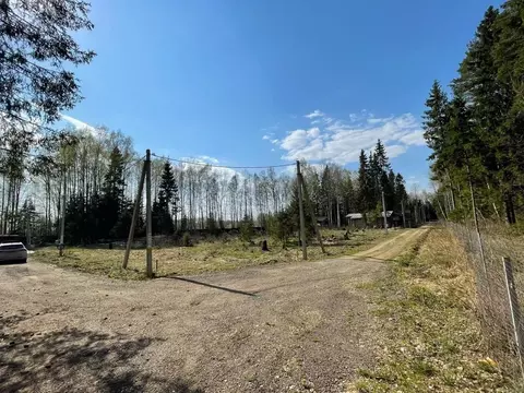 Участок в Московская область, Дмитровский муниципальный округ, Лесная ...