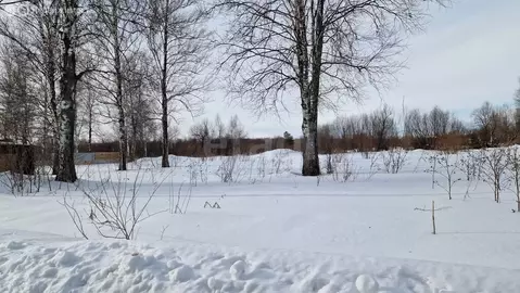 Участок в Новосибирская область, Коченёвский муниципальный район, СНТ ...