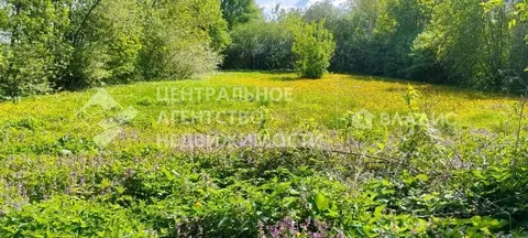 Участок в Рязанская область, Рязанский муниципальный округ, д. ...