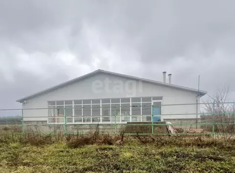 Помещение свободного назначения в Белгородская область, Губкинский ...