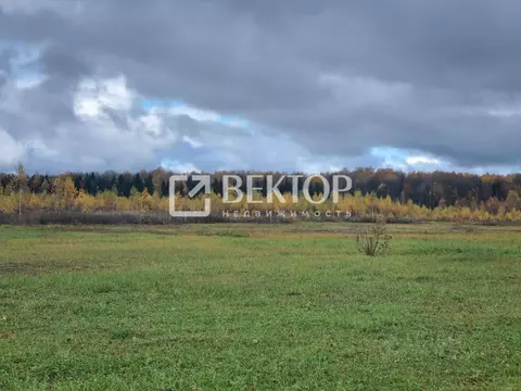 Участок в Ивановская область, Ивановский район, Беляницкое с/пос, д. ...