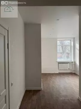 Квартира-студия: Воронеж, улица Еремеева, 43 (17.2 м)