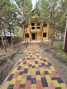 Коттедж в Алтай, Чемальский район, Элекмонарское с/пос, с. Элекмонар  ...