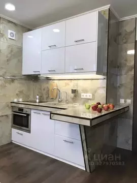 Студия Санкт-Петербург пос. Парголово, проезд Толубеевский, 20к1с1 ...