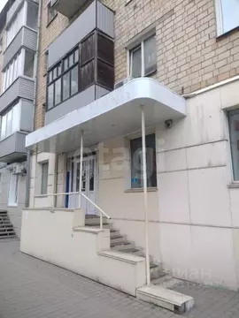 Торговая площадь в Красноярский край, Красноярск ул. Ленина, 28 (217 ...