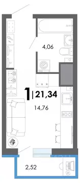 Студия Рязанская область, Рязанский муниципальный округ, с. Дядьково  ...