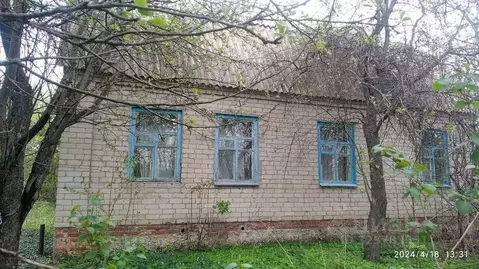 Дом в Воронежская область, Новоусманский район, Орловское с/пос, с. ...