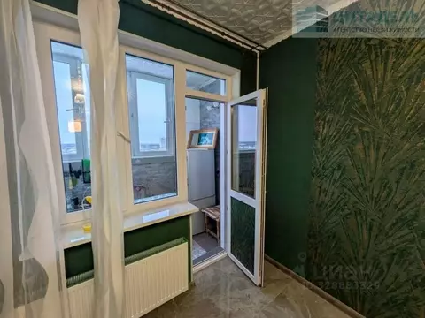 Студия Московская область, Старая Купавна Богородский городской округ, ...