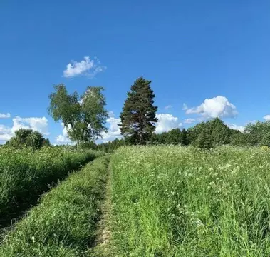 Участок в Московская область, Можайский муниципальный округ, д. ...