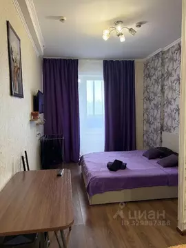 Студия Московская область, Балашиха 1 Мая мкр, 4К1 (25.0 м)