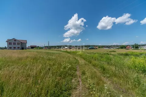 Участок в Алтайский край, Бийский район, пос. Амурский ул. Луговая ...