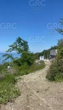 Участок в Краснодарский край, Сочи Ландыш садовое товарищество, 33 ...