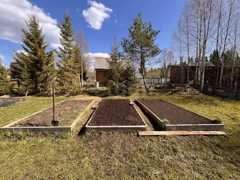 Дом в Архангельская область, Приморский муниципальный округ, Звездочка ...