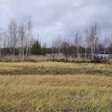 Участок в Московская область, Луховицы муниципальный округ, д. Солчино ...