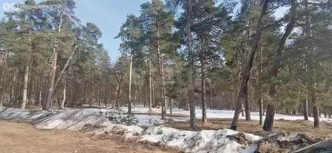 Участок в Московская область, городской округ Серпухов, деревня Пущино ...