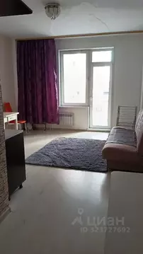 Студия Красноярский край, Красноярск ул. Мичурина, 2Ж (30.0 м)