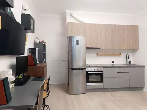 Студия Санкт-Петербург пос. Шушары, ул. Нины Петровой, 6к1 (24.4 м)