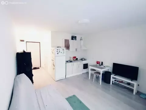 Квартира-студия: Виллозское городское поселение, посёлок Новогорелово, ...