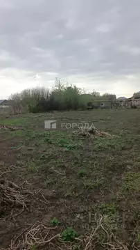 Участок в Новосибирская область, Новосибирский район, с. Толмачево ул. ...